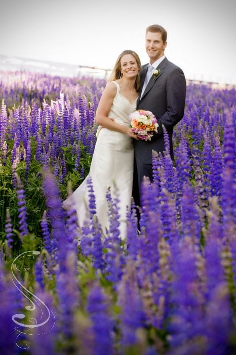 Bridal portraits in the lupine fields that seem to go on forever.
