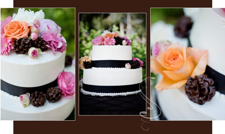 The cake detail shots: get an overall, then get closer to capture the chocolate dipped pine cones.