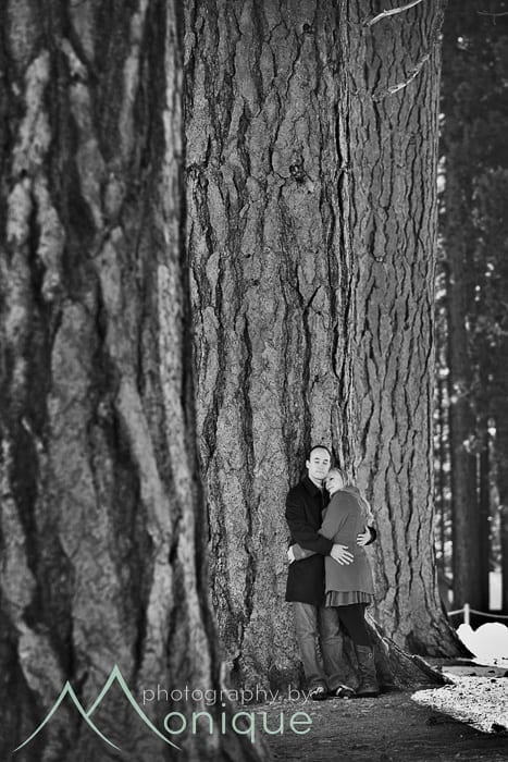 engagement photos with trees