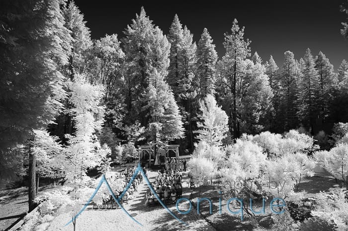infra red photo