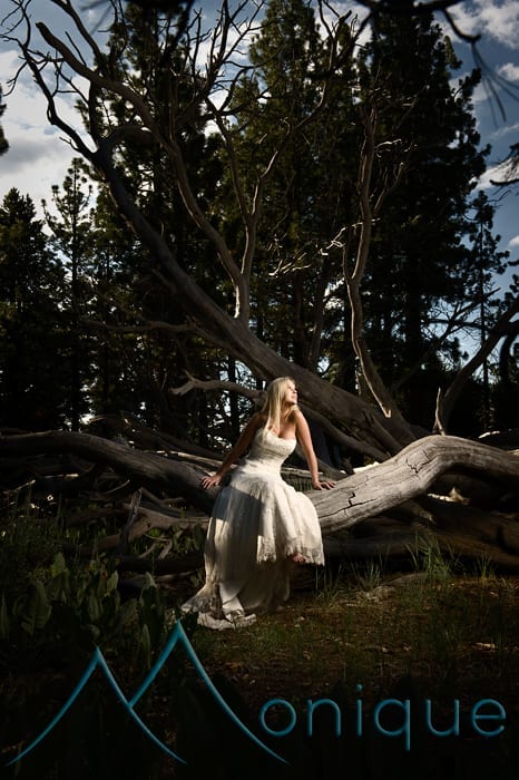 tahoe trash the dress bridal photograph