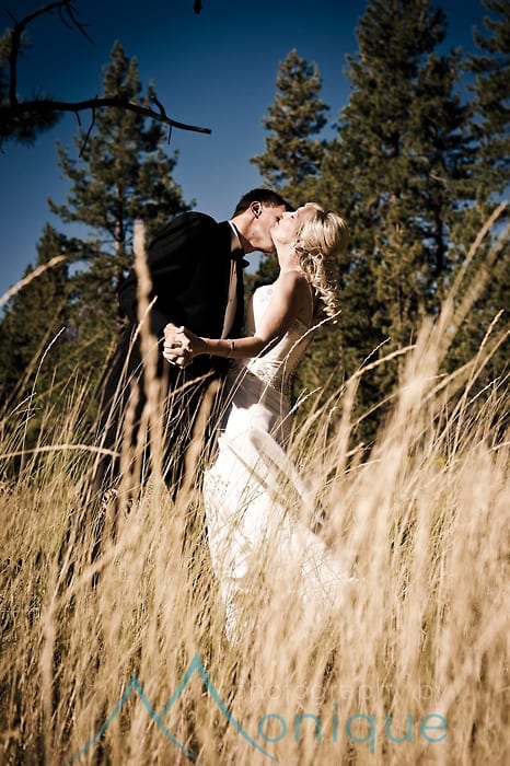 bride and groom in field of grass