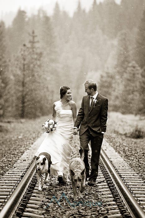bride and groom on train tracks