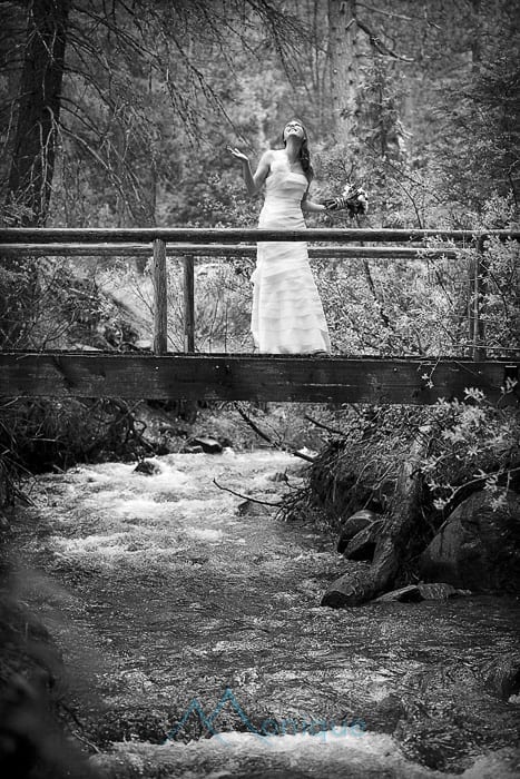 bride over stream at 20 mile house
