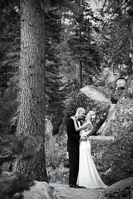 wedding portraits in the trees at the Thunderbird Lodge