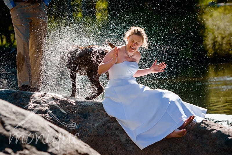 bride gets soaked by wet dog