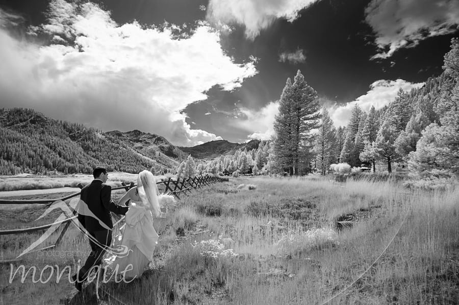 PlumpJack Squaw Valley wedding photography