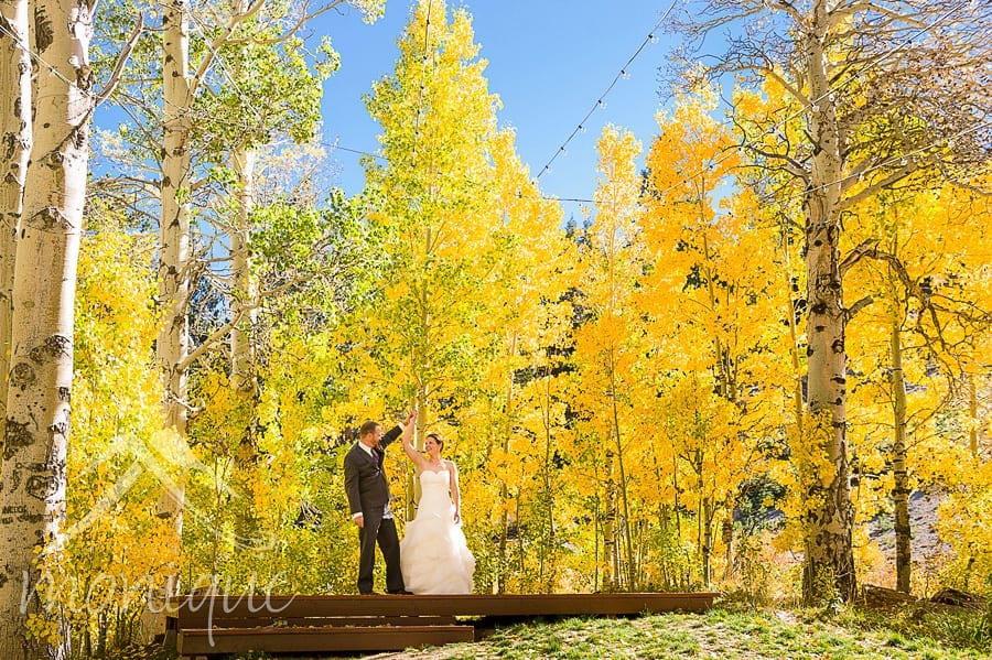 Fall wedding at the Tannenbaum