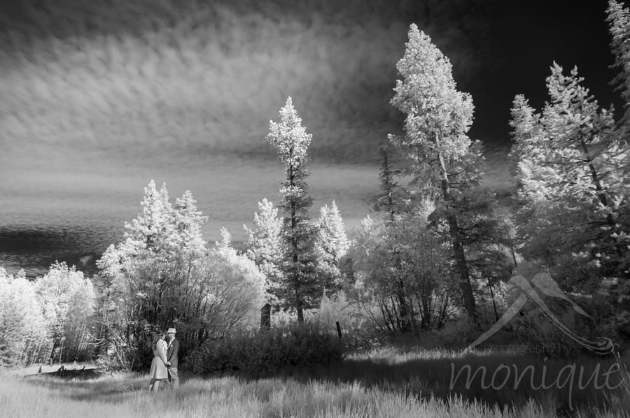 This image is shot on our infrared camera, which gives the trees that glowy, snow white look.