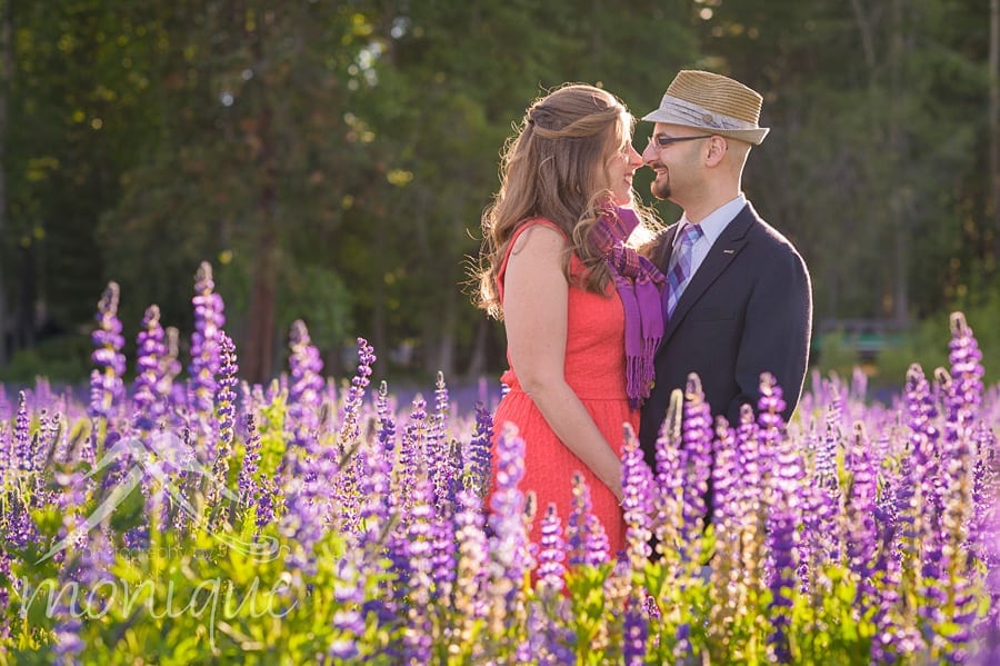 Lake Tahoe engagement photography, Gatekeepers museum, lupine wildflowers