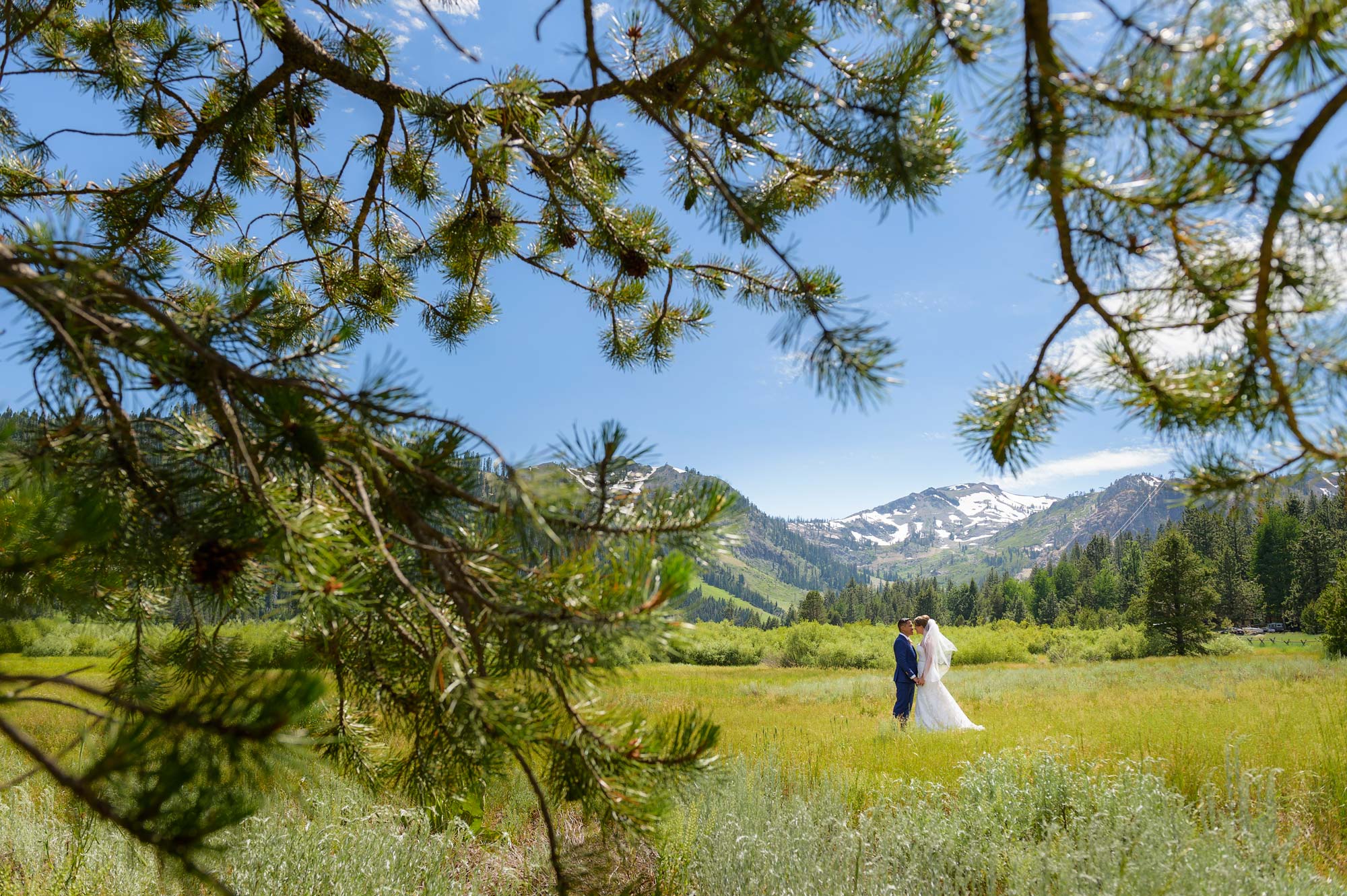 Wedding photograph of a couple in a field at Squaw Valley, California, surrounded by mountains and trees for thier Olympic Village Lodge wedding photography.