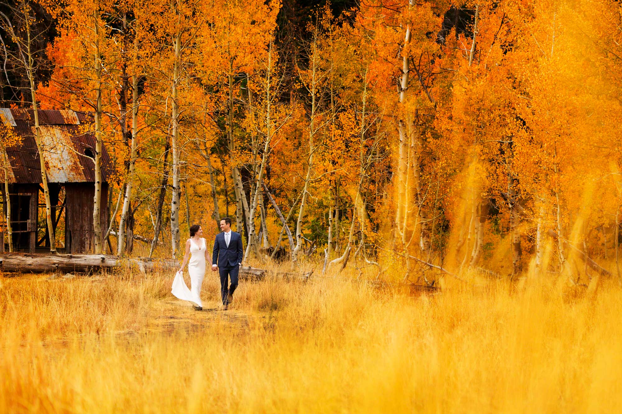 Lake Tahoe Fall colors wedding photography