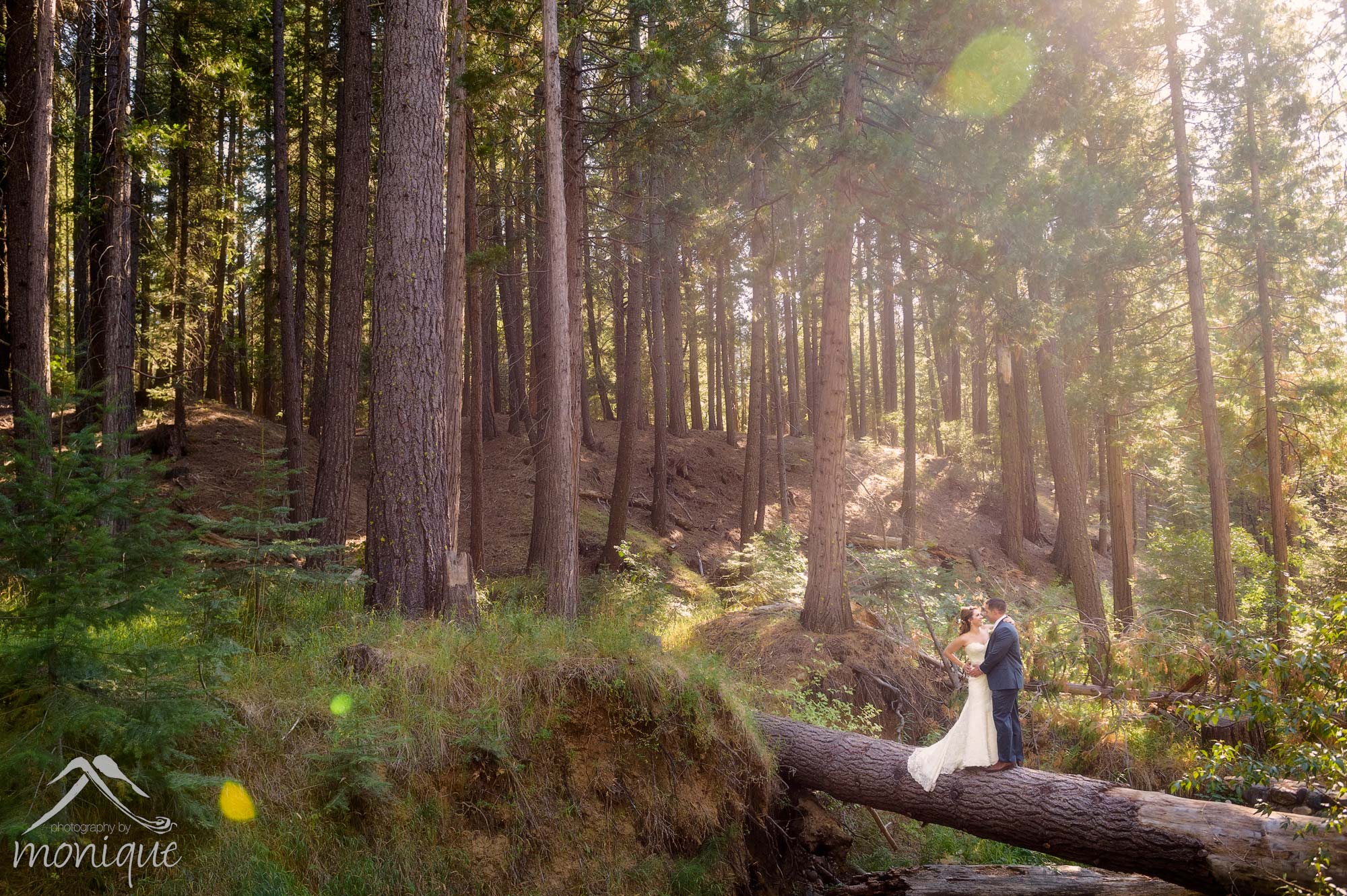 Wedding photography at the Twenty Mile House in Graeagle, California showing bride and groom on a log over a creek in a forest with beautiful light.