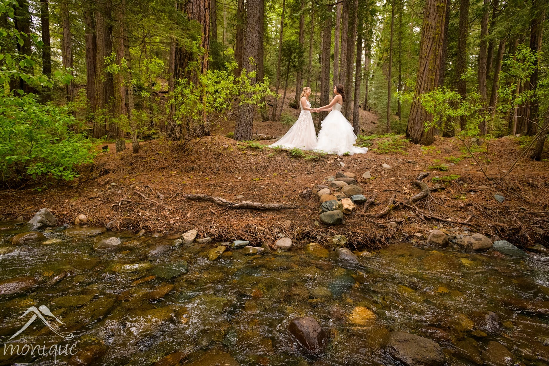 Twenty Mile House wedding photography, same sex weddings, two brides in the forest, Photography by Monique