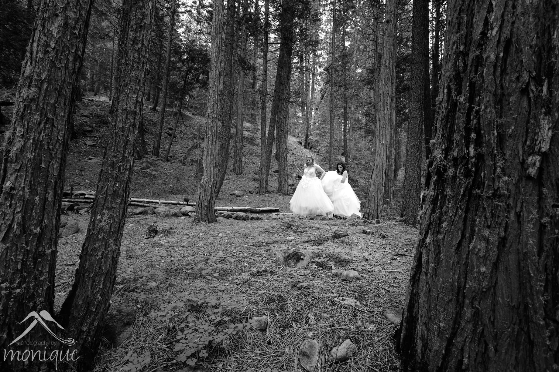 Twenty Mile House wedding photography, same sex weddings, two brides in the forest by Photography by Monique