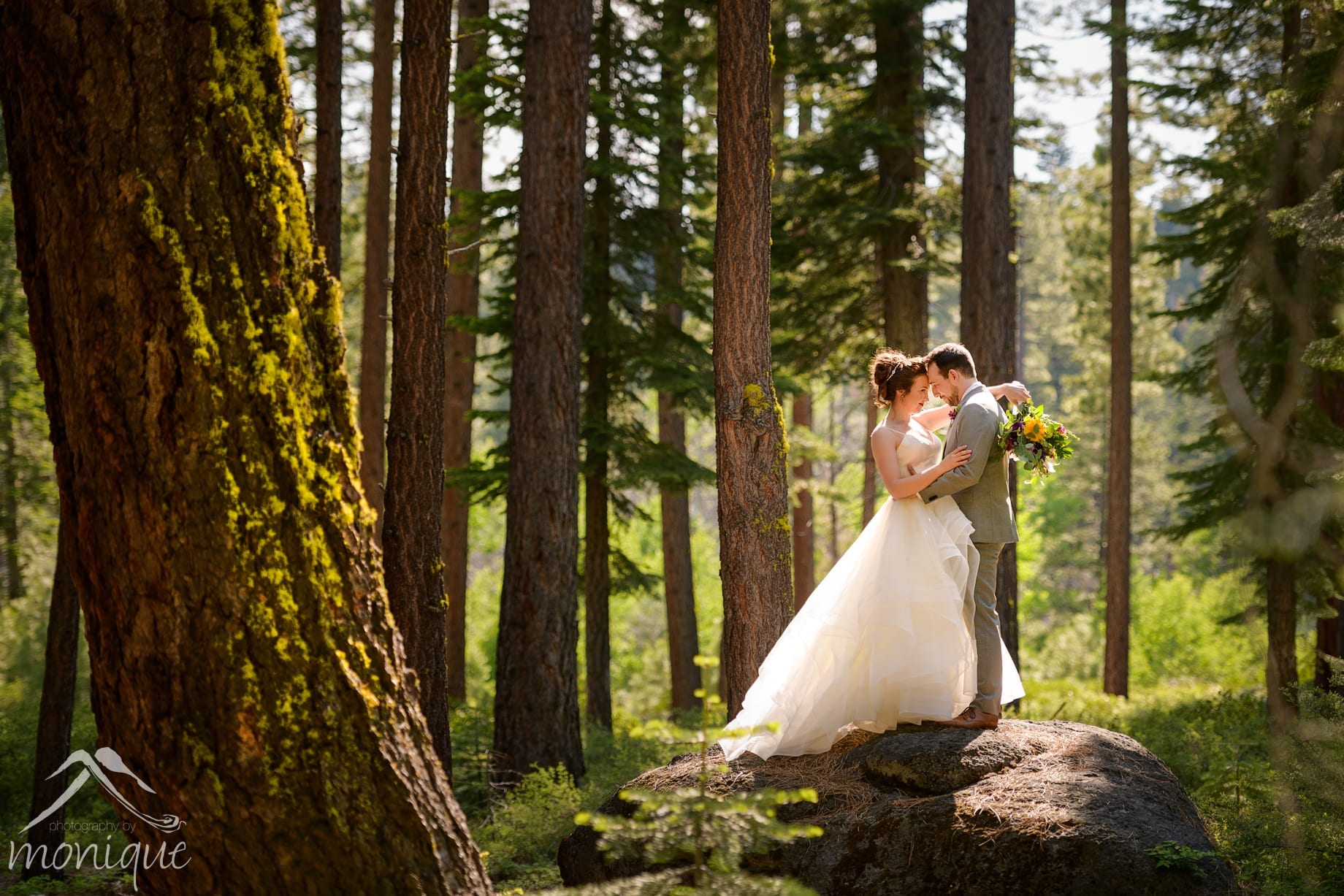 Lake Tahoe wedding photography with the bride and groom in the forest
