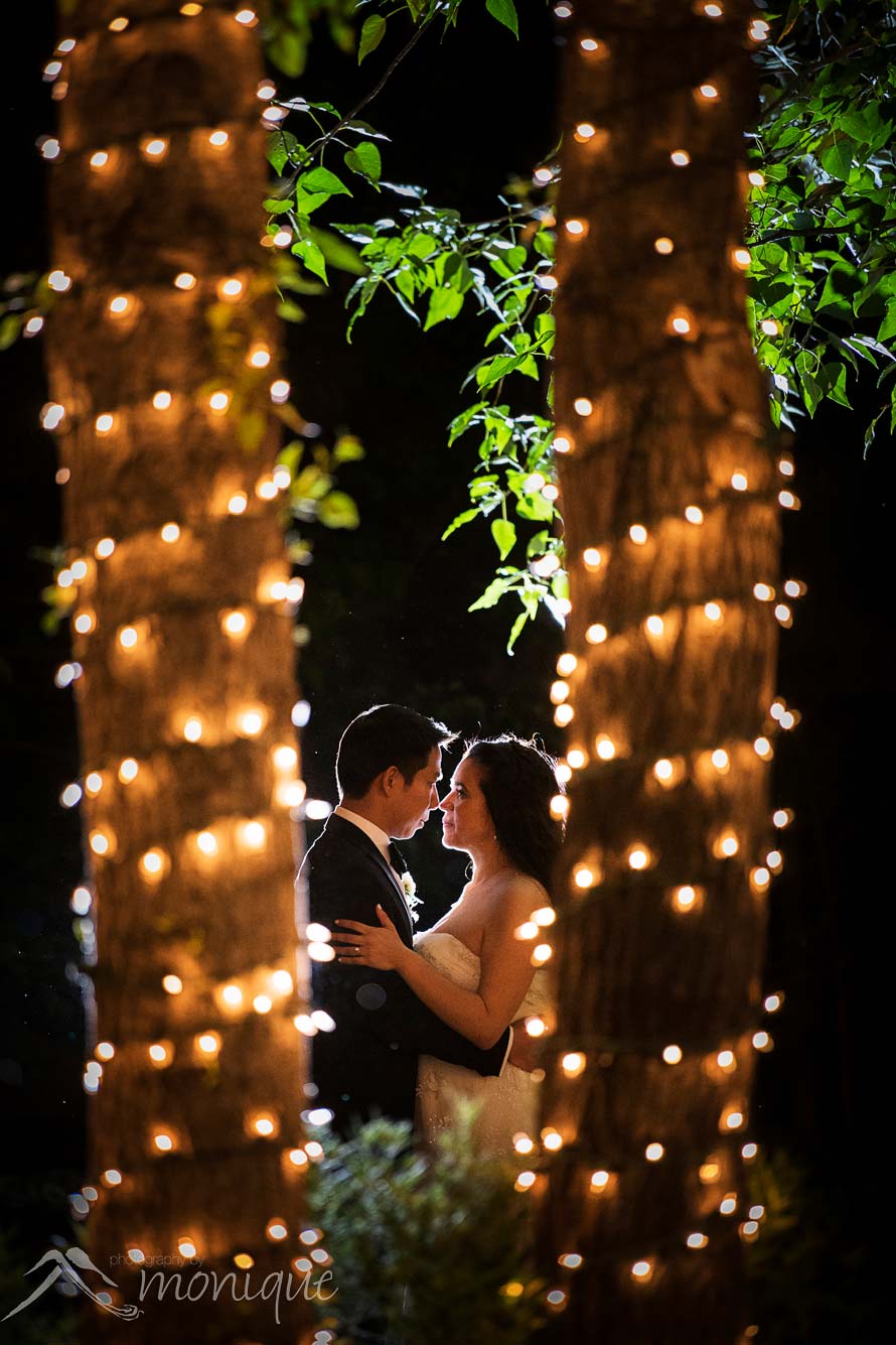 The best Twenty Mile House wedding photographer who captures stunning images with professional studio lighting equipment