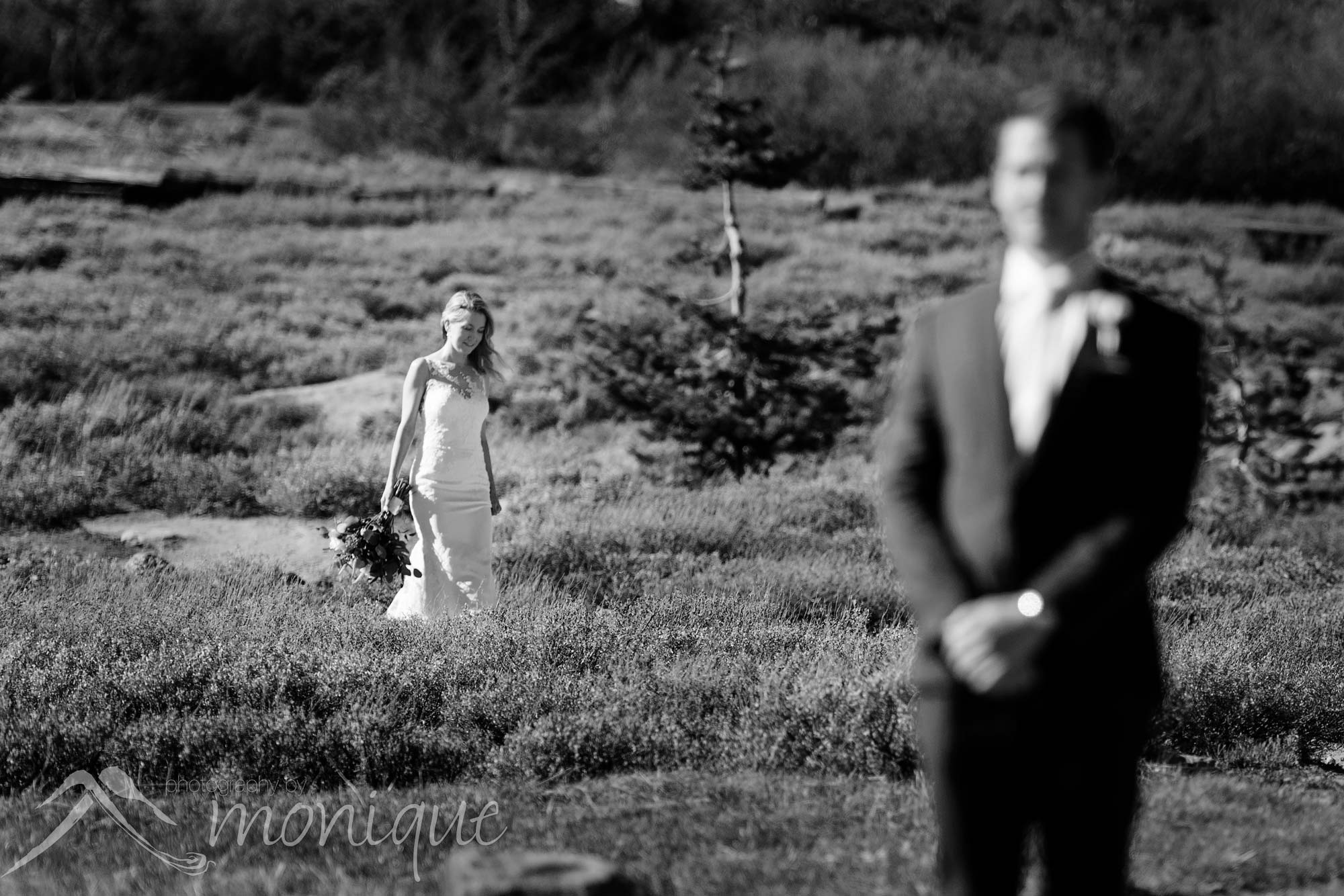 Lake Tahoe Covid-19 elopement photography featuring the bride and groom in the Tahoe Meadows by Photography by Monique adventure photographers 