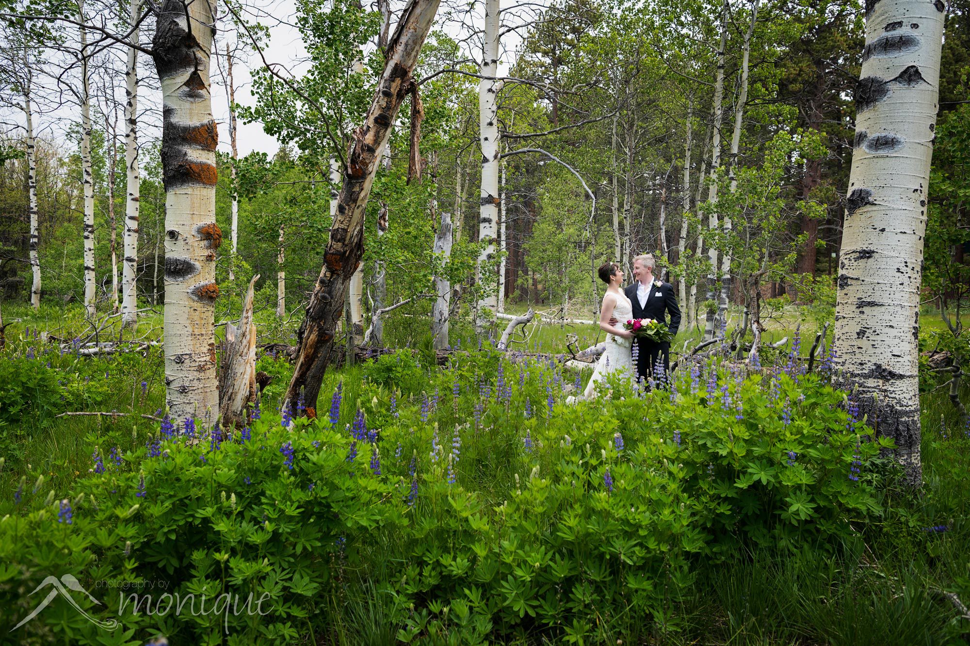 bride and groom at Camp Concord wedding in south lake tahoe